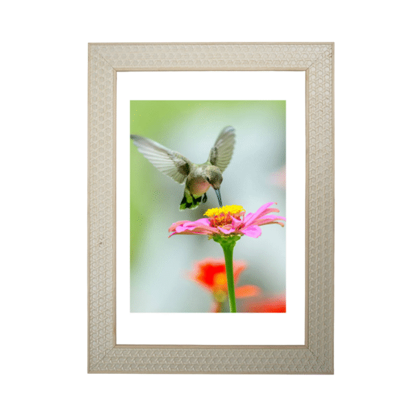 Ivory Bloom Frame